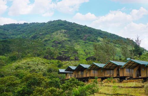 Medadumbara Other | Wild Glamping Knuckles - Thema Collection