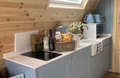 Newton Ferrers Cabin | Wild Luxury Bluebell Glamping Pod with Wood Fired Hot Tub in quiet rural setting