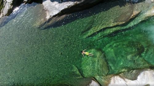 Isorno Apartment | Wild Valley Palm Garden in Valle Onsernone