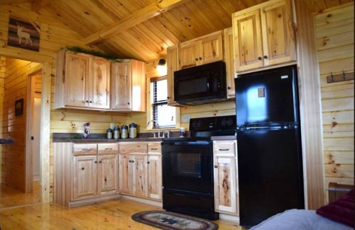 Spotsylvania Condo | Wilderness Resort Lake View Cabins offer lovely views of the Cool Springs Lake.