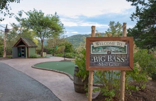 Big Cedars Condo | Wilderness Club™ at Big Cedar® - 1 Bedroom Lodge