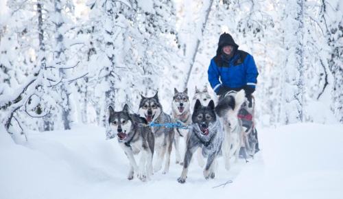 Inari Hotel | Wilderness Hotel Inari & Igloos