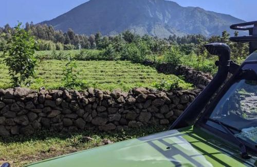 Kinazi Boat Rental | Wildlife friendly safari