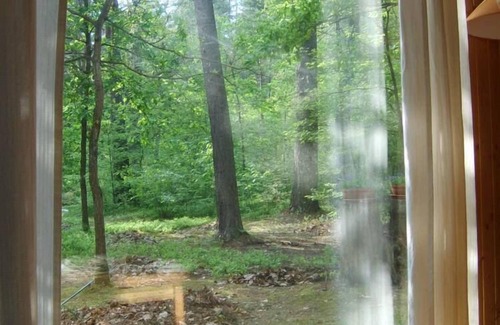 Wilga House | Wilga: country house in the heart of the forest in the south-east of Warsaw