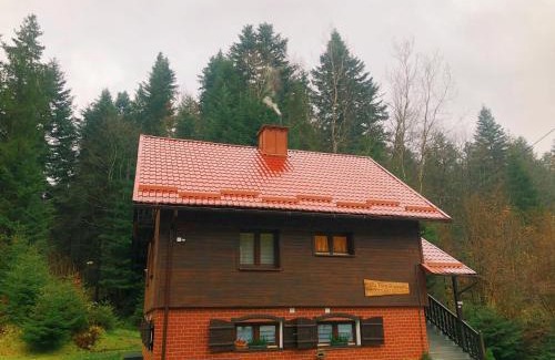 Krynica-Zdroj Apartment | Willa przy Strumyku