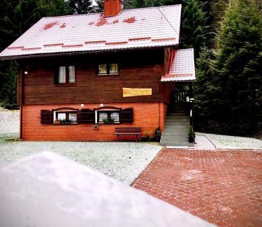 Krynica-Zdroj Apartment | Willa przy Strumyku