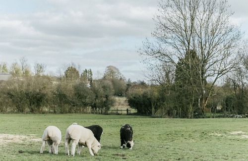 Maiden Newton Cottage | Willow Cottage - Luxury rural cottage with disable access