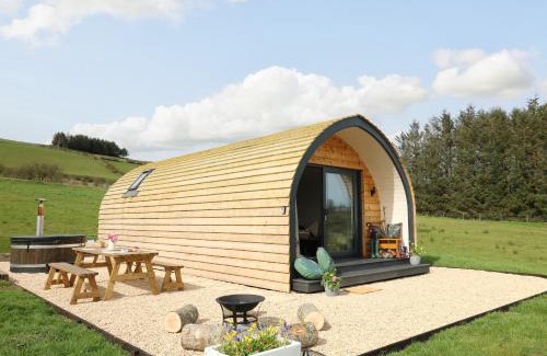 Llangurig House | Willow