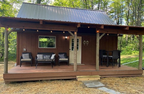 Dansville Cabin | Willy Cabinnn