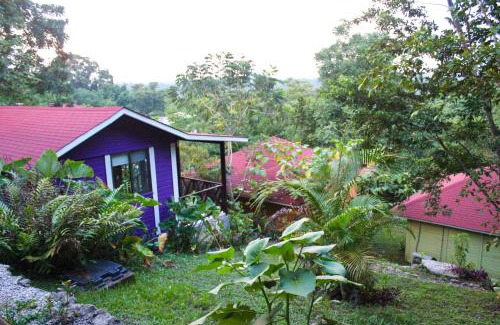 Palenque Cabin | Winíka Alterra