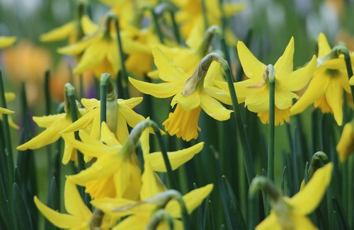 Bilpin House | WINDARRI - the perfect city escape! SPECIALS ON NOW !