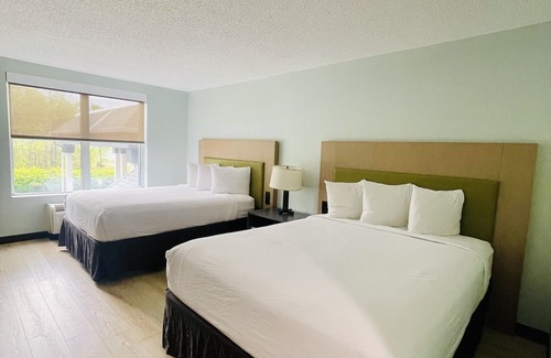 Matthews Hotel | Wingate by Wyndham Matthews/Charlotte