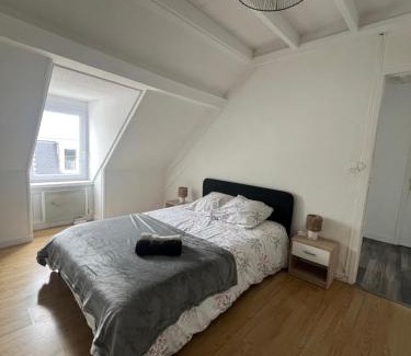 Cherbourg-en-Cotentin Apartment | WingFlat Appartement Entier Centre Ville Proche Naval Cité de la mer Quartier Calme
