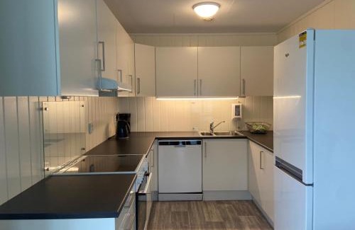 Aurland Apartment | Winjum Apartments Aurland Stegastein