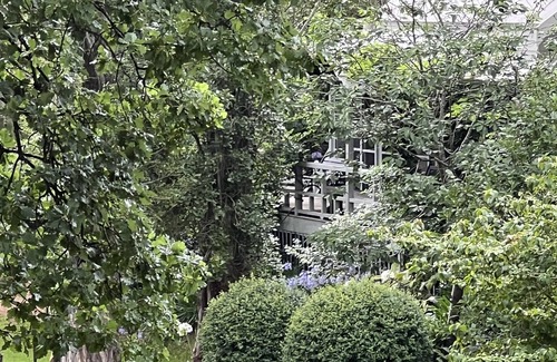 Tilba Tilba Apartment | WINTER SPECIAL @ the Mezzanine cottage Foxglove Open Gardens