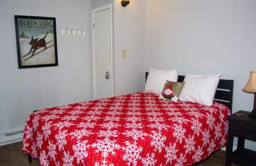 Ghent Apartment | Winterplace Condos - Ski In Ski Out! E101