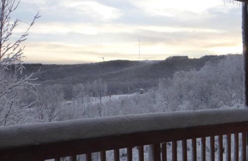 Ghent Apartment | Winterplace Condos - Ski In Ski Out! E101