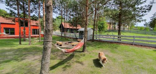 Purda House | Wioska Radoska - Czarna Stodoła na Mazurach przez cały rok