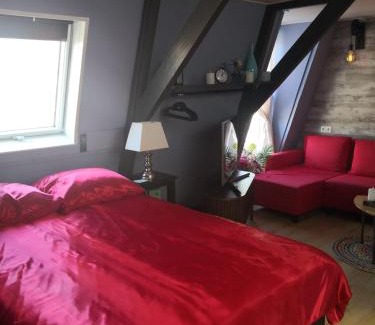 Harlingen Bed & Breakfast | WitteZwaan