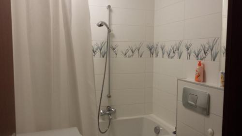 Fuerth Apartment | Wohnung am Grünen, Nähe Stadtzentrum und Hauptbahnhof, WLAN inklusive