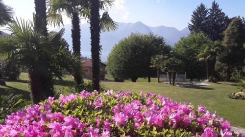 Euroville Apartment | Wohnung In Euroville Mit Gemeinschaftlichem Pool