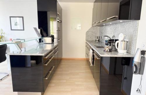 Glattbrugg Apartment | Wohnung mit Klimaanlage Zürich & Airport nah