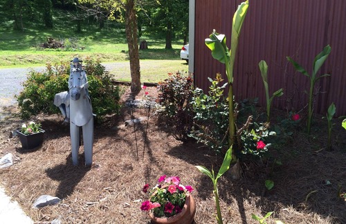 Guntersville Cottage | Wonderful cozy cabin across from Lake Guntersville