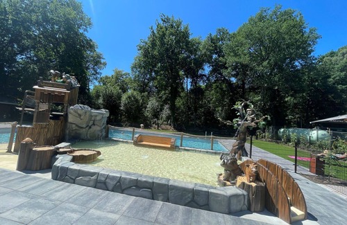 Bosgebied Hoenderloo House | Wonderful private villa for 10 guests with pool, WIFI, TV and terrace