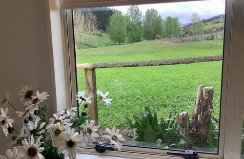 Waikino Cottage | Wood Pigeon Cottage- Pet friendly 2kms from Hauraki Rail Trail-Free Breakfast
