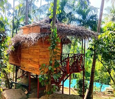 Rideegama Bed & Breakfast | Wooden Eco Cottage