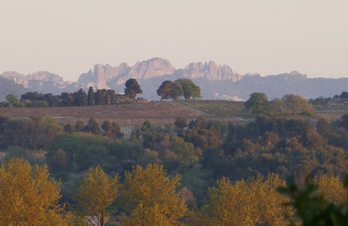 Saint-Maurice-sur-Eygues House | Wooden house in the heart of the vineyards with private SPA and view of Mont Ventoux