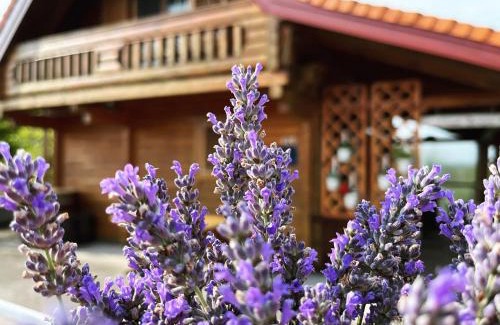 Bednja House | Wooden house Brezni