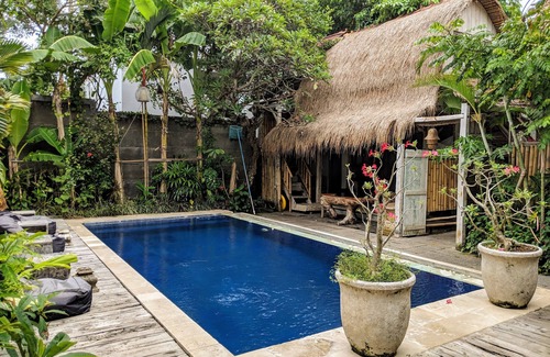 Denpasar Barat House | WOODEN HOUSE WITH GARDEN VIEW4