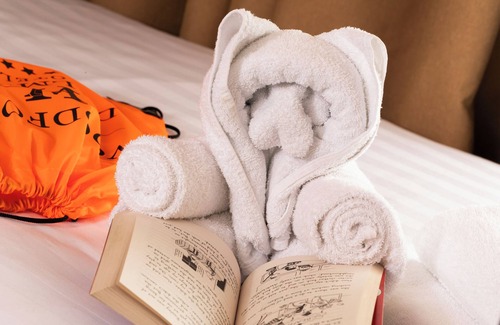 Carlow Hotel | Woodford Dolmen Hotel