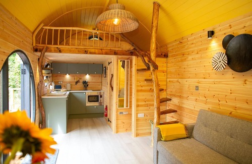 Newcastle Emlyn Cottage | Woodland Lodge, Aberporth