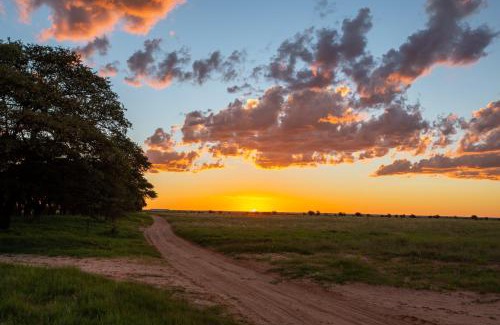 Ratlou Cabin | Woodside Game Lodge