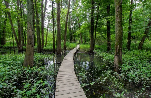 Chesterton House | Woodsy Retreat w/River Near Dunes - ADA Friendly