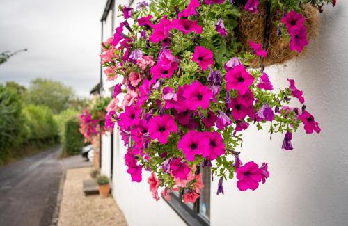 Compton Martin House | Woodview - cosy 1840s cottage in Chew Valley and Mendip AONB