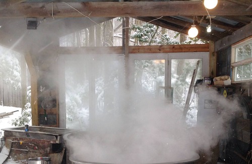 Adrian Cabin | Woody’s Treehouse Hideaway In French Creek,W.Va great deer hunting