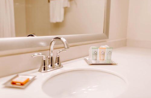Northwest Dallas Hotel | Wyndham Garden Dallas North