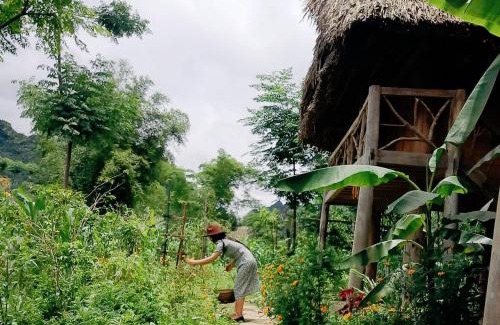 Lam Thuong House | Xoi Farmstay - A Home Farm in Lam Thuong valley - North Vietnam