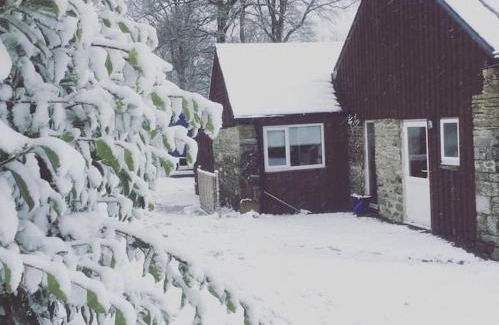 Tan-y-groes House | Y Boidy Bach