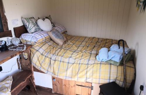 Caersws Ski Chalet | Y Cwtch