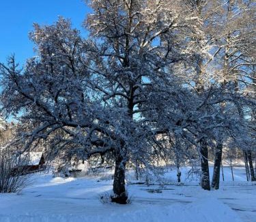 Hylte Municipality Bed & Breakfast | Yaberg Affären
