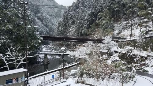 Hashimoto Cabin | Yadori Onsen Iyashinoyu