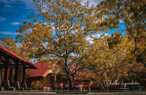 Kirinda Hotel | Yala Chalets by Lalan Leisure