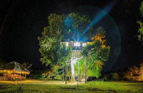 Palatupana Other | Yala Dream Park