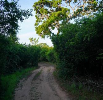 Palatupana Other | Yala Wild House