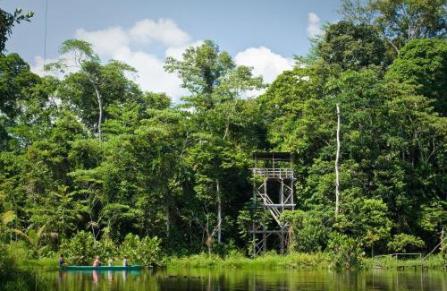 Coca Cabin | Yarina Eco Lodge