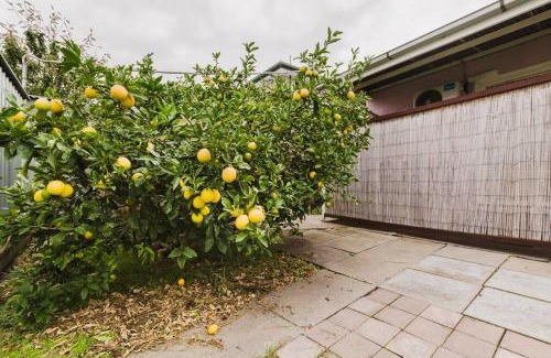 Yarraville Apartment | Yarraville Garden Large home with yard and parking